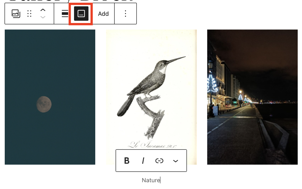 Adding a caption to the gallery block