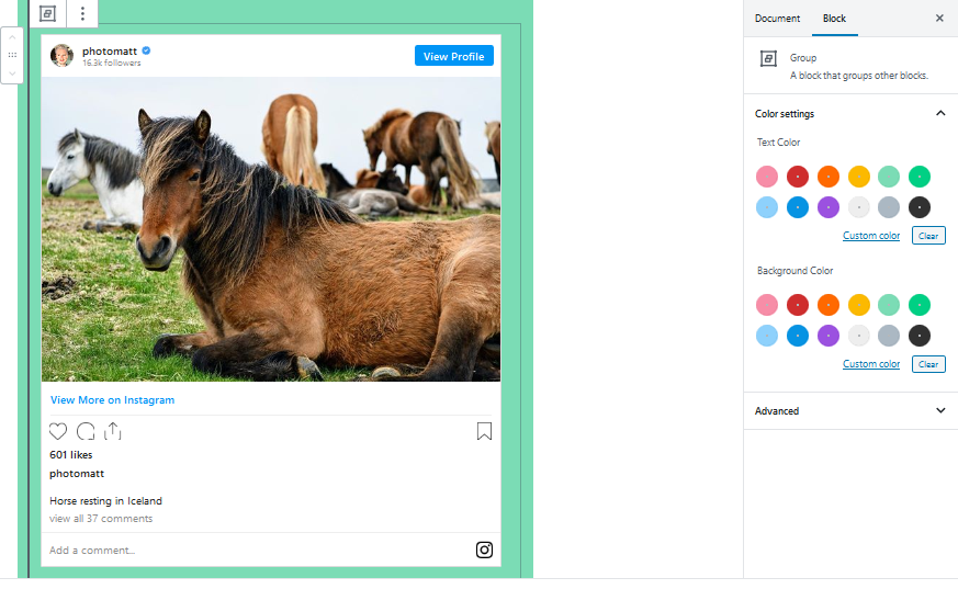 Editor view of a Instagram Embed as a group with Color Settings controls