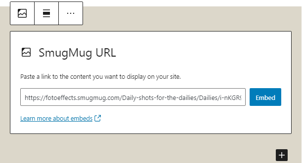 Editing the block URL via the "edit" option.
