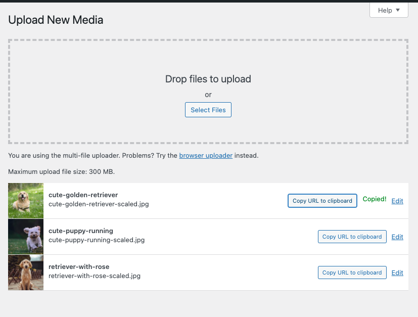 Copy URL to clipboard