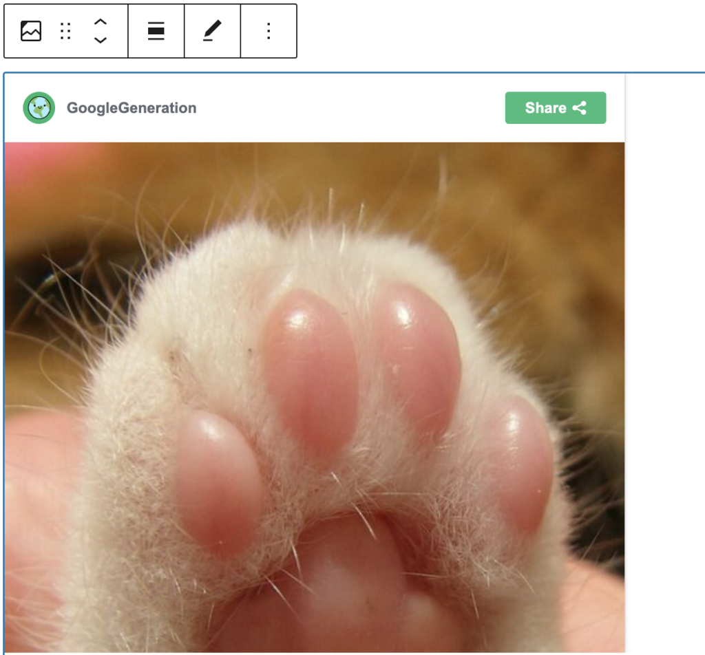 Preview of an Imgur Embed block