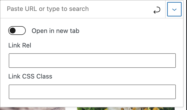 Settings for the image link