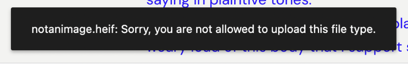 Example error message when uploading an unsupported file type.