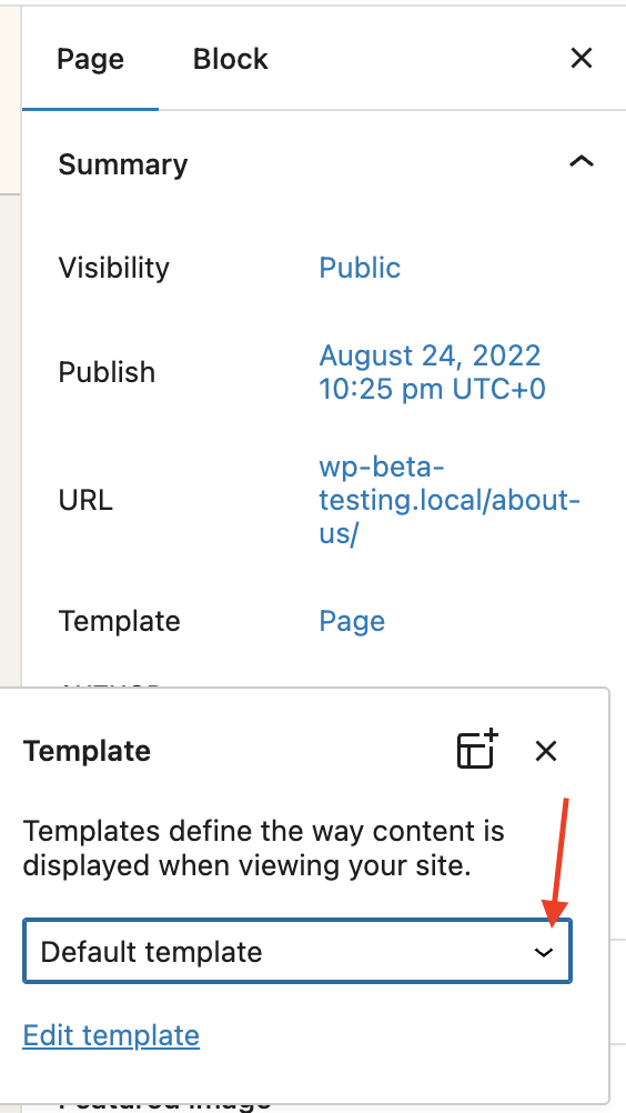 How to assign a template to a post or page