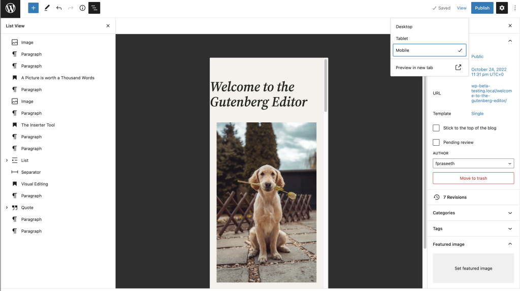 Mobile view for the View option