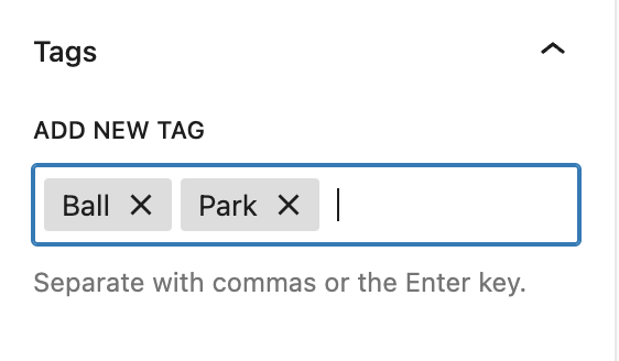Tags in Settings sidebar