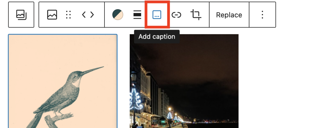Adding captions to images in the gallery block
