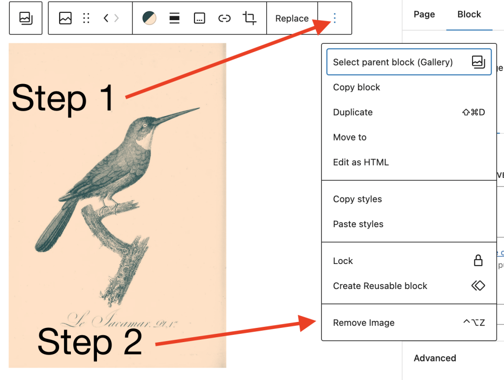 Removing images from the gallery block