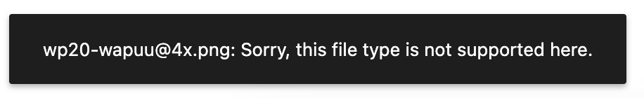 The error message includes the file name followed by the text "Sorry this file type is not supported here."