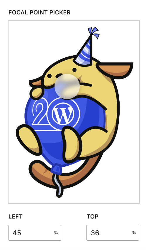 Media & Text focal point picker for cropped images