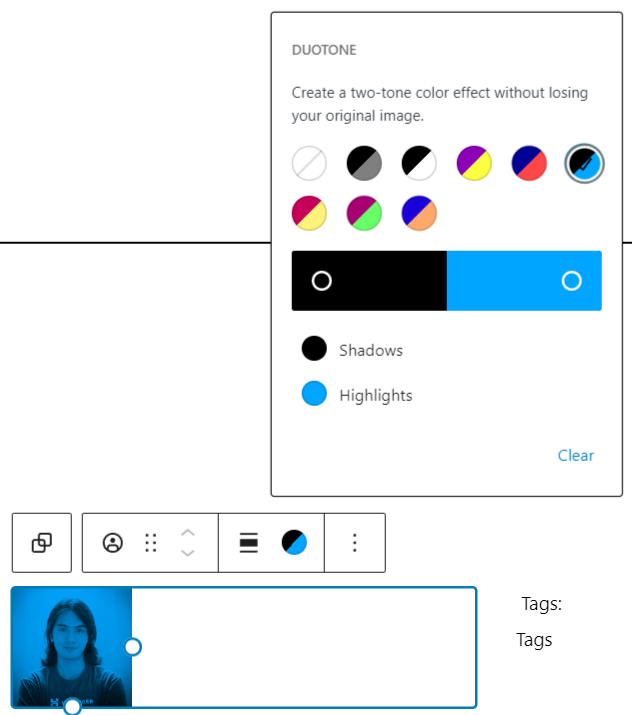 Using the duotone filter for the avatar block