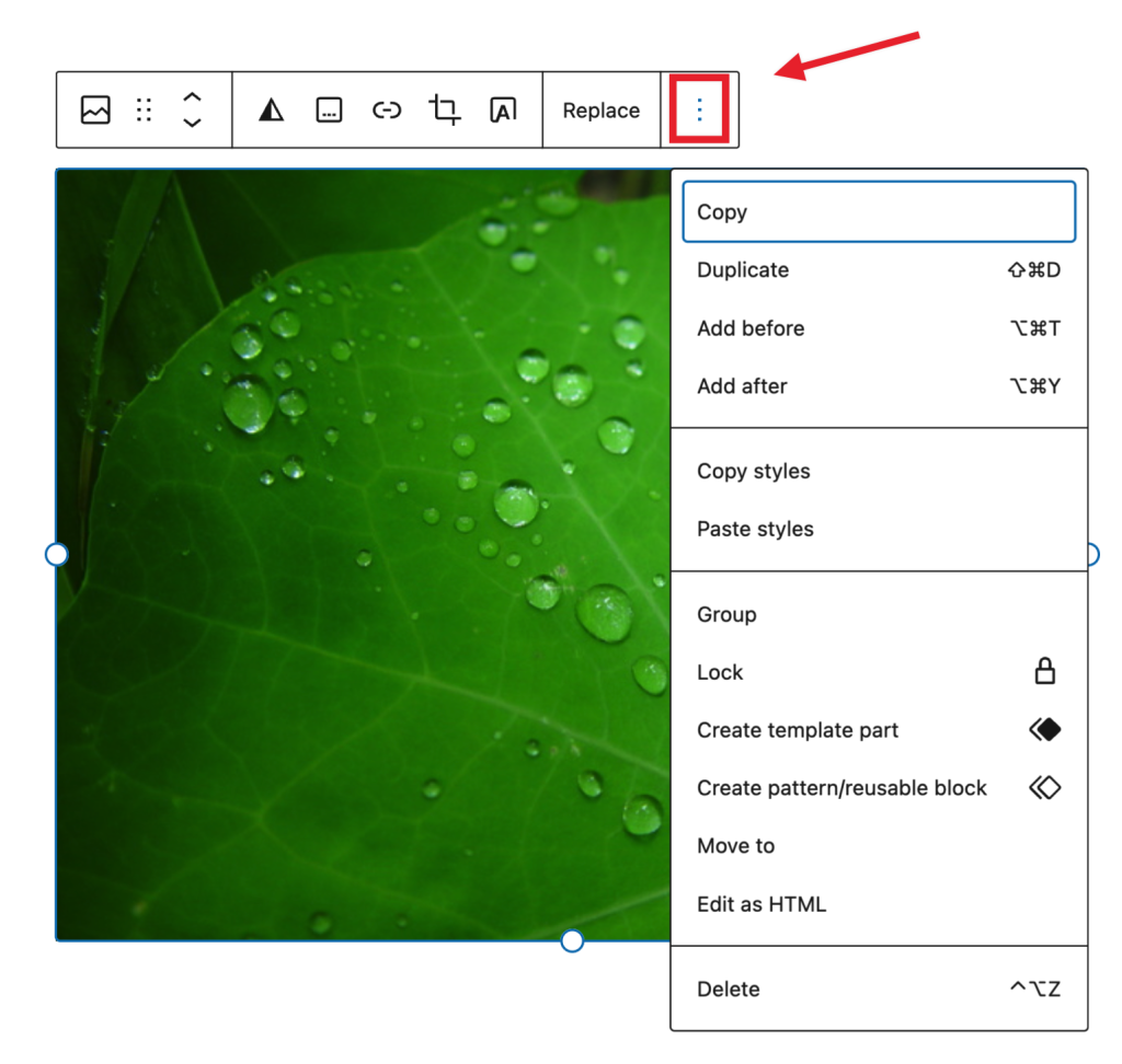 How to access the "More Options" menu on the Image Block.
