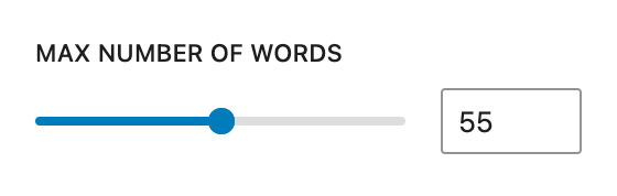 Max number of words for excerpt settings appears as a range slider. 