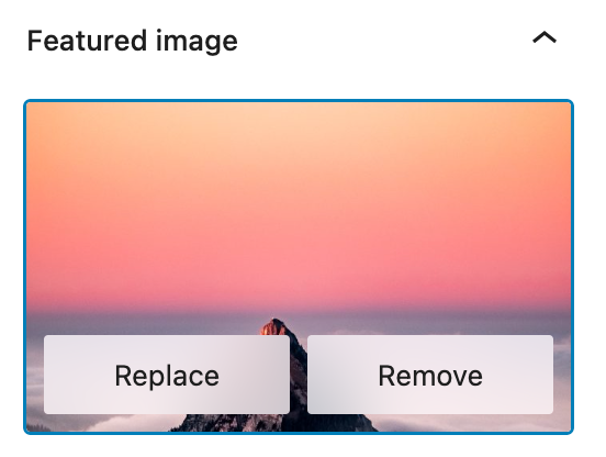 Replace and Remove Options under Featured Image Settings