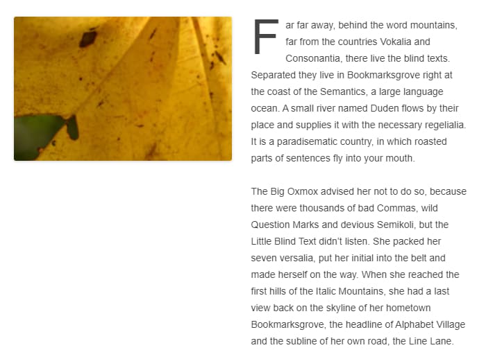 A pattern with two columns, with an image at the top of the left column, and text in the right column.
The text starts with a drop cap.