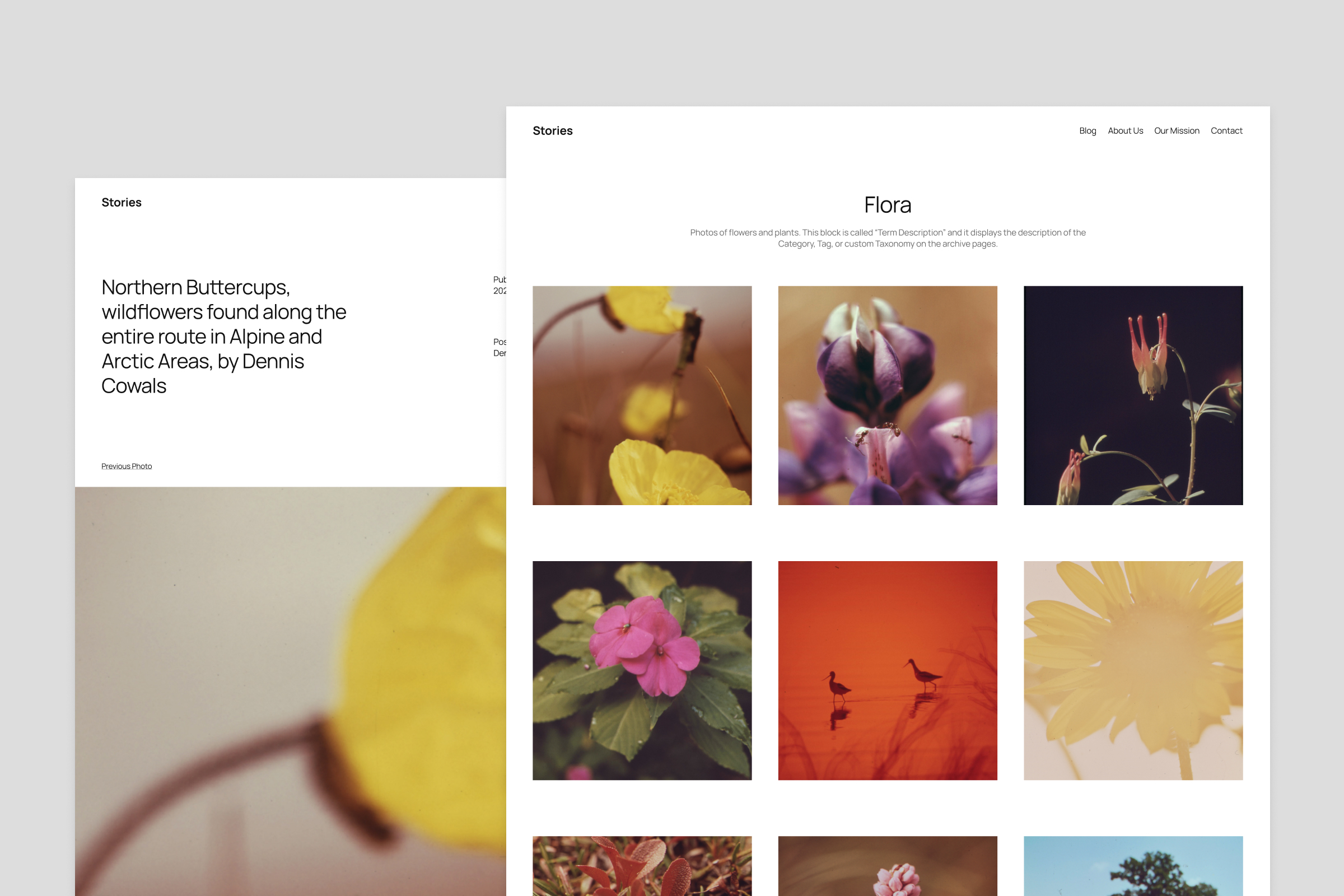 Preview of the Photo blog templates in Twenty Twenty-Five.